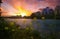 Yellow Flowers Blooming By The Bow River At Sunrise