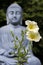 Yellow flowers with Buddha statue blurred in background