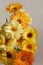 Yellow flowers calendula