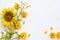 Yellow flowers cosmos, marigolds and  sunflowers arrangement flat lay postcard style