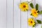 Yellow flowers of decorative sunflowers on a white wooden table