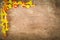Yellow flowers formed as border on top left corner on grunge vintage wooden background