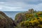 Yellow flowers in front of Dunnottar Castle in spring, Scotland