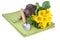 Yellow Flowers with Garden Tools