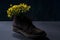 Yellow flowers grow from brown boots. On a dark background. Spring shoe sale concept