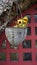 Yellow flowers upon a hanging metal pot