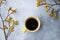 Yellow flowers kangaroo legs on marbled background and cup of yellow coffee