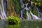 Yellow flowers on the lake and waterfalls on background, Plitvice Lakes National Park, Croatia