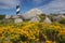 Yellow flowers with lighthouse in the background