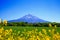 Yellow Flowers & Mount Fuji