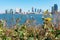 Yellow Flowers and Native Plants at a Park along the East River with the Brooklyn and Queens New York Skylines