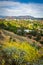 Yellow flowers and view of distant mountains and Riverside