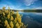 Yellow flowers at Waikawa habour. Sea in southern coast south island Newzealnd