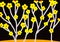 Yellow flowers walpaper art jpeg image high resolution