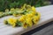Yellow flowers in a wreath on a wooden background