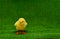 Yellow fluffy artificial chicken fake sits on green grass. Copyspace. Easter concept