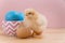 Yellow fluffy Easter chick looks at camera with egg shell