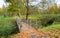 Yellow foliage and a bridge over a stream in autumn. Wooden bridge over a stream.