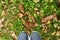 Yellow foliage and fir cones on green grass and shoes on autumn background. Legs in black shoes standing