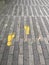 Yellow footprints and dried leaves on walkway at park, Singapore