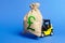 Yellow forklift carries a money bag with the pound sterling symbol. Concept of a major contract, profitable deposit or loan