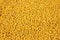 Yellow foxtail millet background