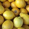 Yellow fragrant lemons - texture, texture for banner, menu, cookbooken