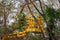 A yellow freight elevator in the middle of a botanical garden