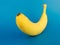 Yellow, fresh banana on a blue background turned half-side