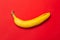 Yellow fresh ripe organic banana on red background. Modern minimal food surrealism idea for design