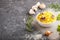 Yellow fried rice with champignons mushrooms, turmeric and oregano in white ceramic bowl on a black concrete background. side view