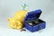 Yellow friendly piggy bank with money and blue cash box