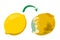 Yellow fruit lemon become rotten and bad. Citrus organic food