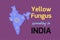 Yellow Fungus spreading in India. Yellow fungus symbol on the Indian map. Yellow Fungus disease background