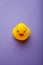 Yellow funny duck toy on purple background, vertical