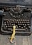 Yellow gecko on a typewriter