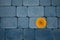 Yellow gerbera flower on a background of blue sidewalk tiles. Blue and orange color harmony.