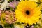 Yellow gerbera flower in floristic arrangement closeup. Floral bouquet of colorful flowers