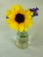 Yellow Gerbera, Transvaal daisy and blue flower in a glass vase table decoration on gray background.