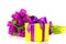 Yellow gift box with bouquet of purple tulips