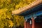 Yellow gingkoes and ancient Chinese architecture