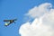 Yellow glider against a blue sky