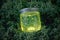 Yellow glowing jar on the moss