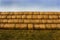 Yellow gold pressed straw in bales, background