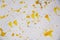 Yellow gold silvery spots texture, waxy winter background