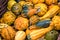 Yellow golden little ornamental pumpkins in basket