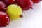 Yellow gooseberry among red gooseberries