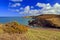 Yellow gorse above the wild pembrokeshire coastline