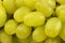Yellow grape Sultana Thompson Seedless Kishmish on black background close up