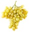 Yellow grapes isolated on a white background